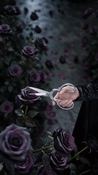 ตอนที่ 3