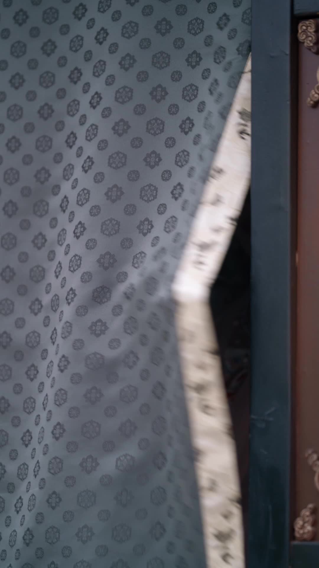 Episódio 29
