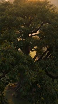 ตอนที่ 1