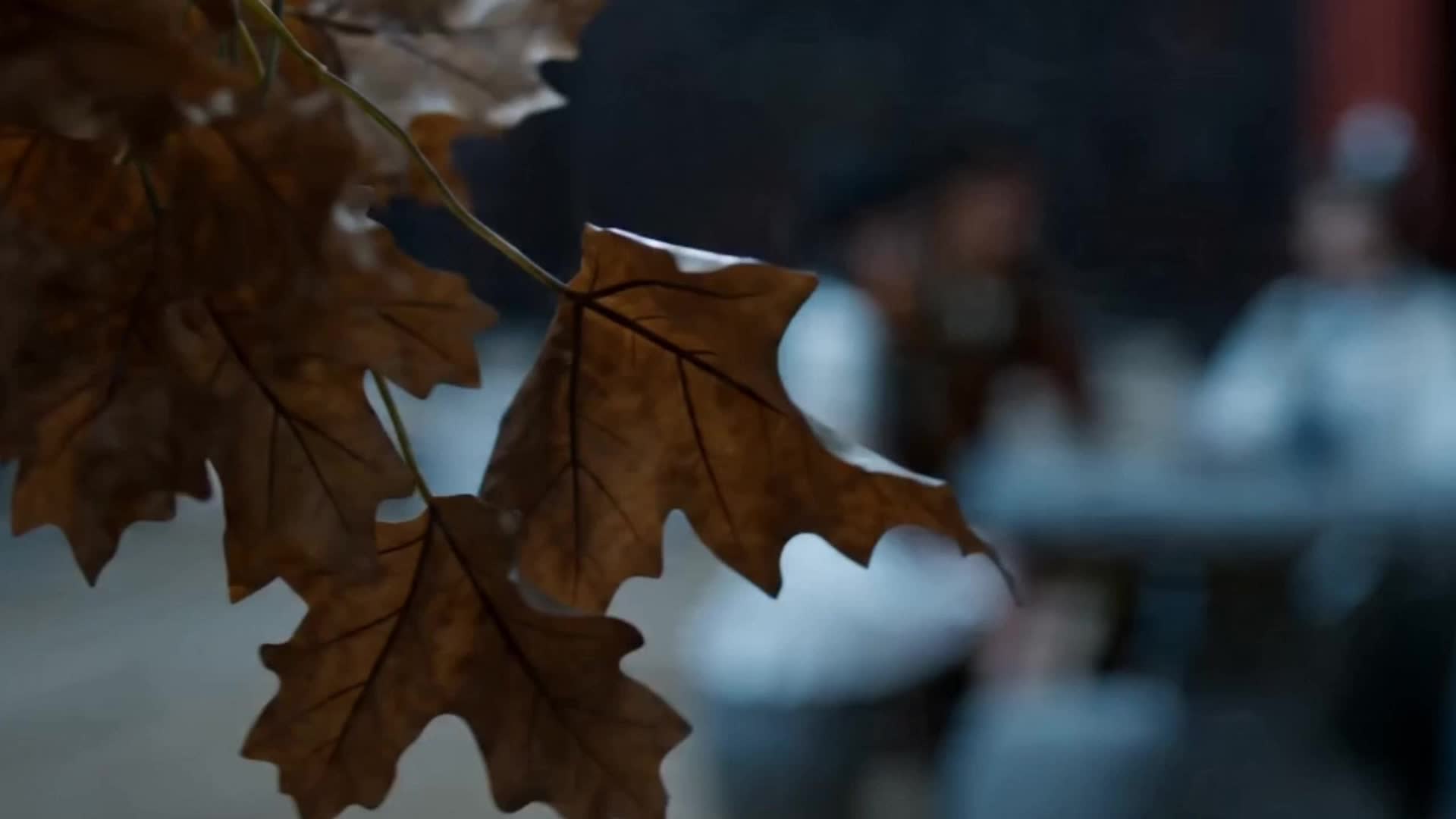 Episode 16