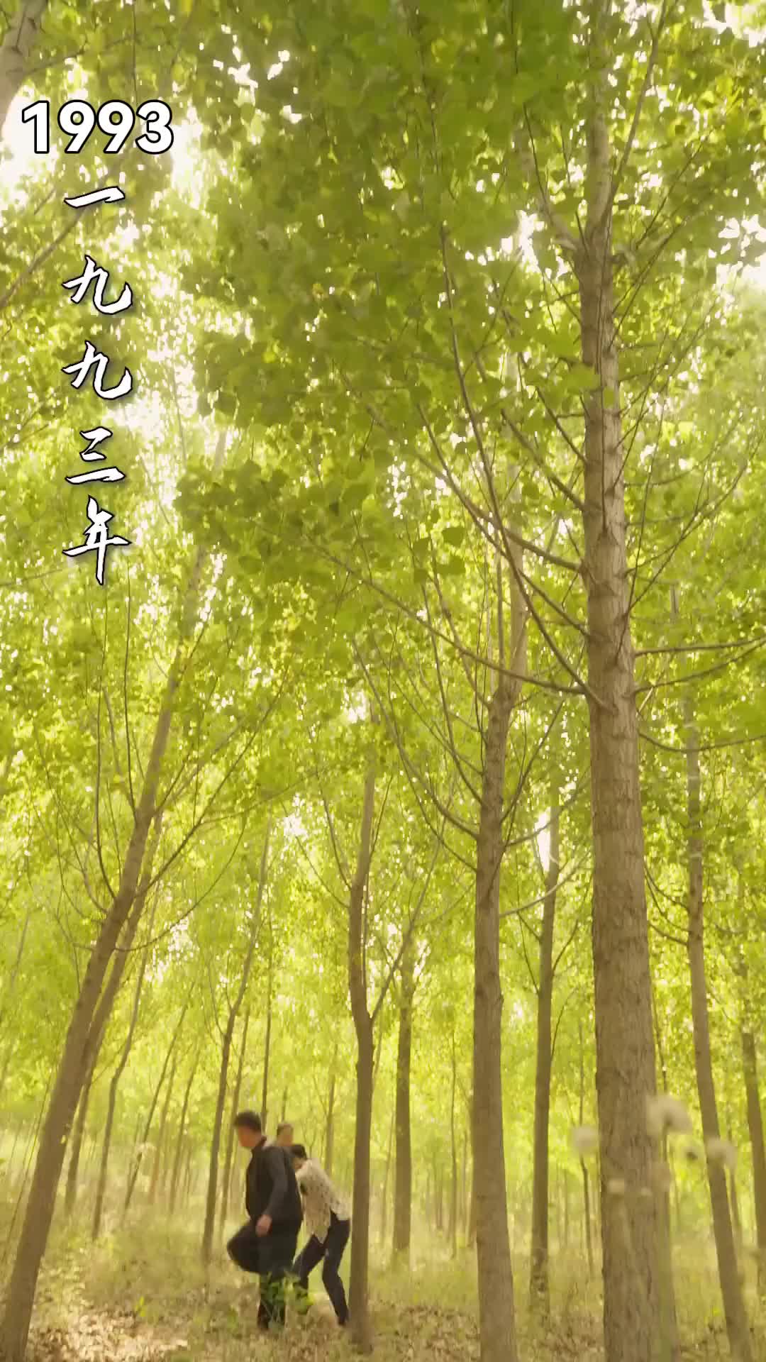 話 1