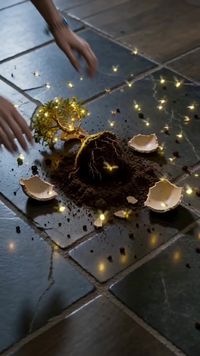 Episode 17