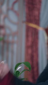 ตอนที่ 29