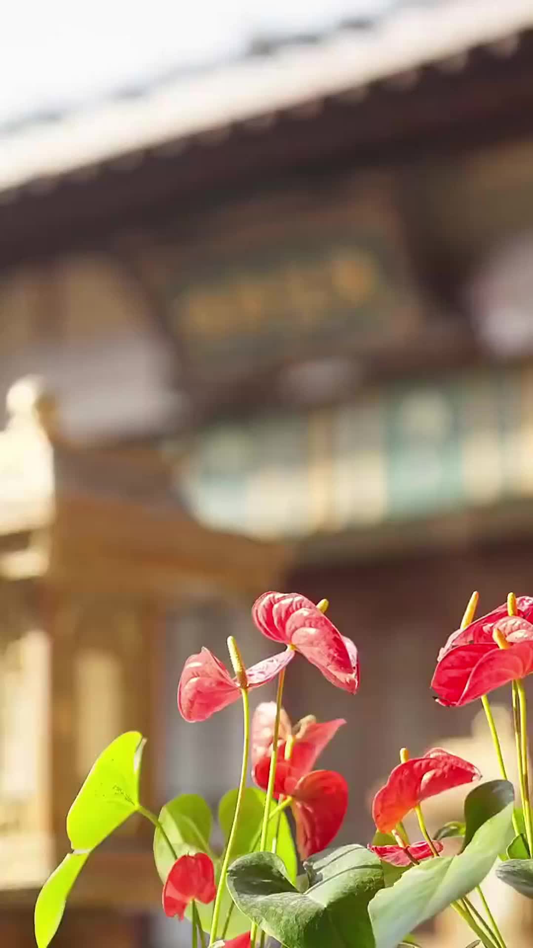 話 28