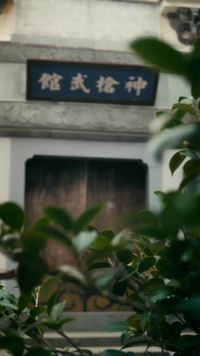 Episod 8