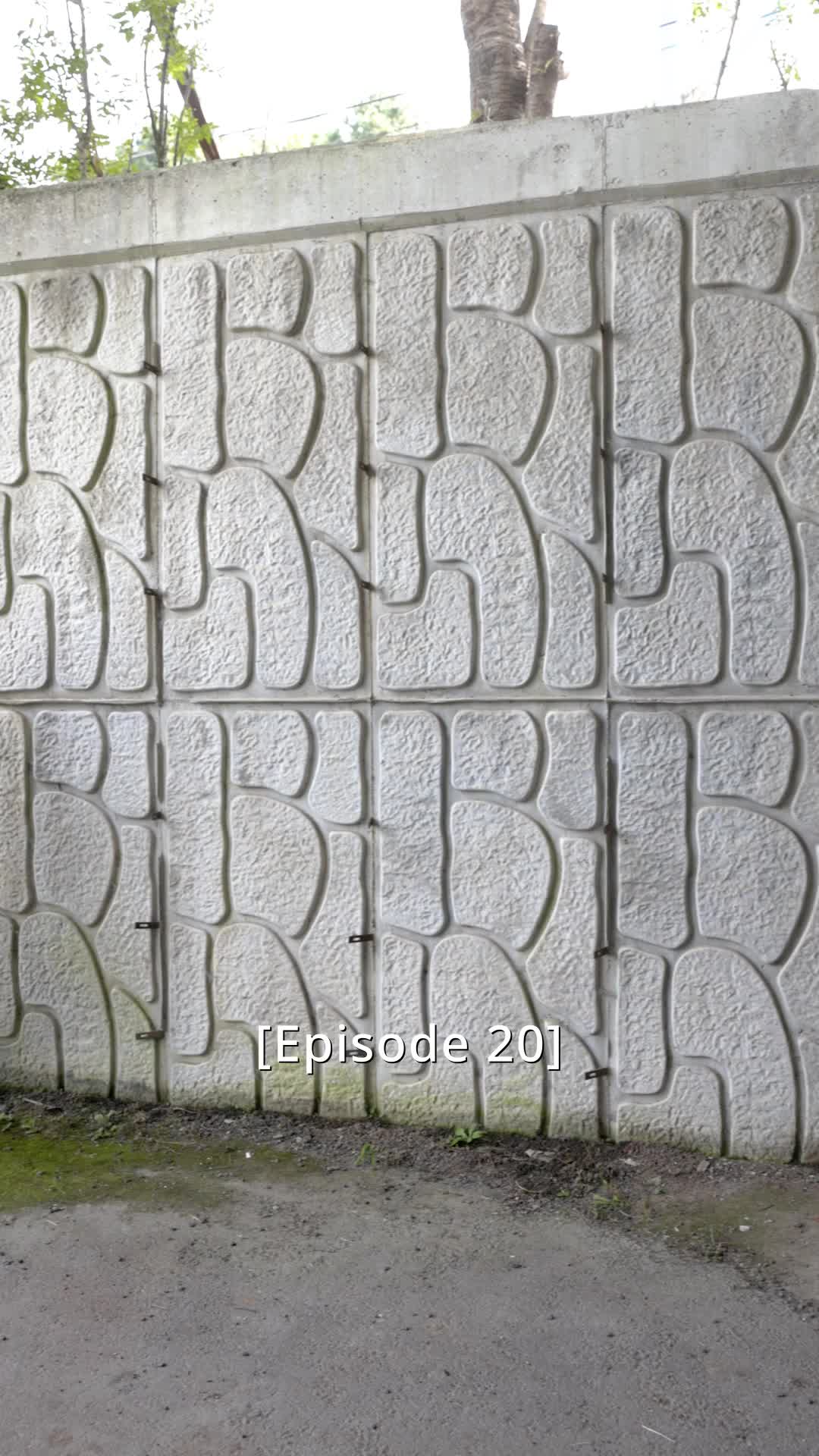 화 20