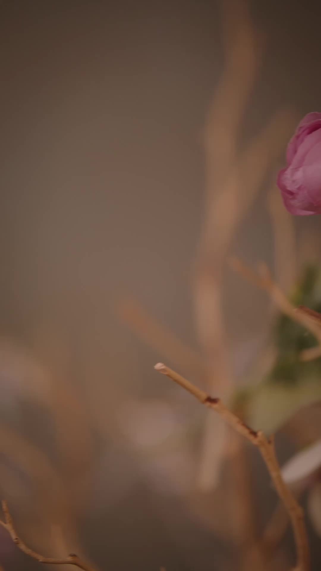 ตอนที่ 21