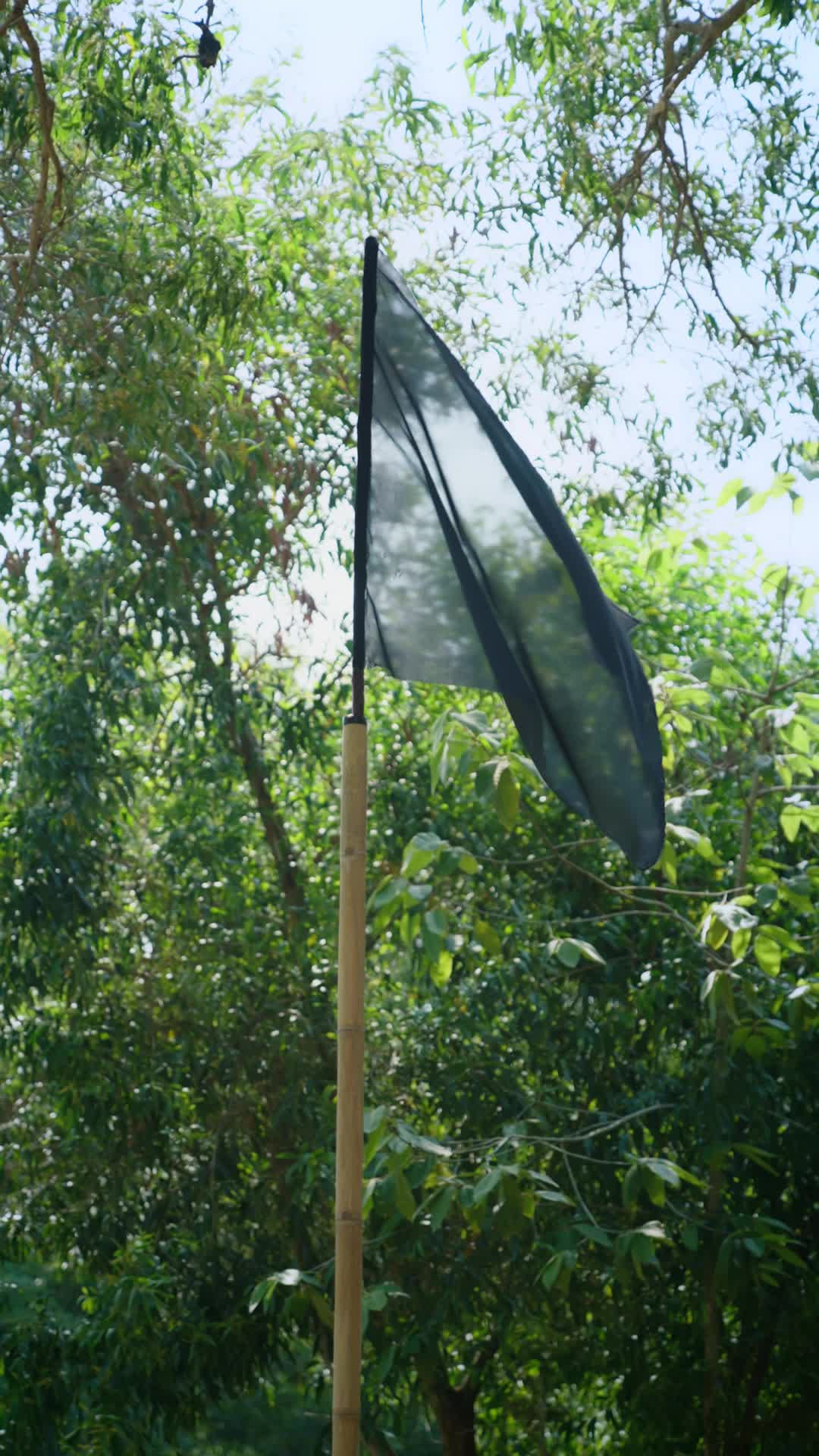 Épisode 17