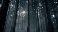 Épisode 17