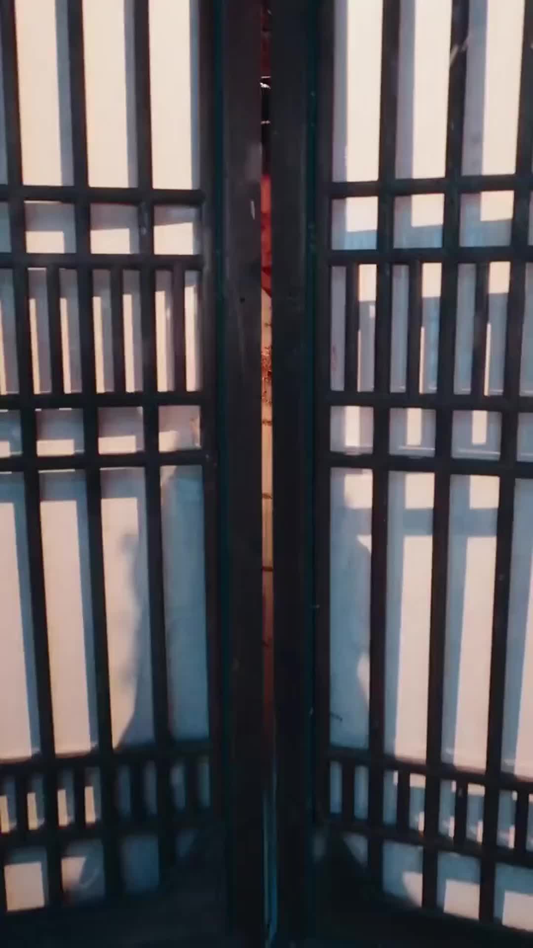 Episode 11