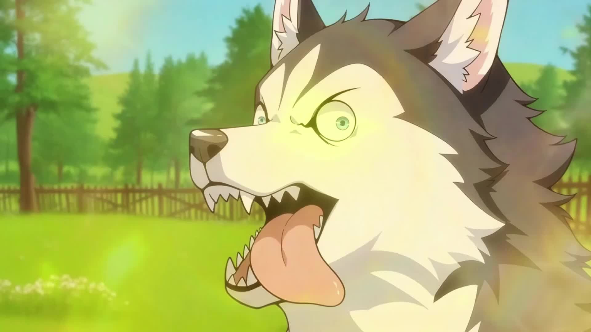 Episódio 1