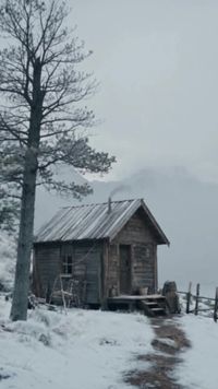 Серия 28