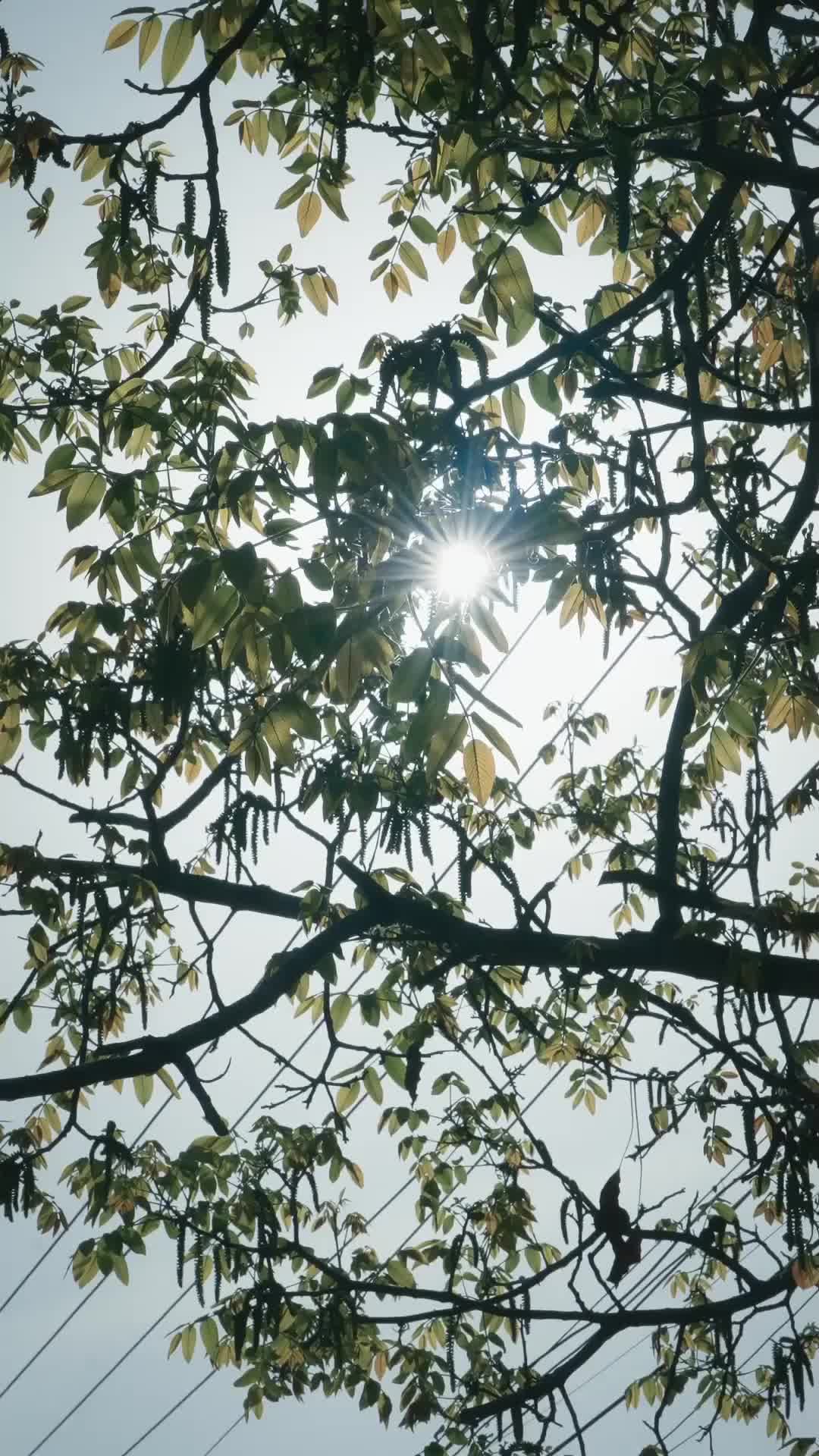 Tập 2