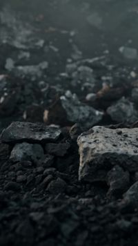Episode 30