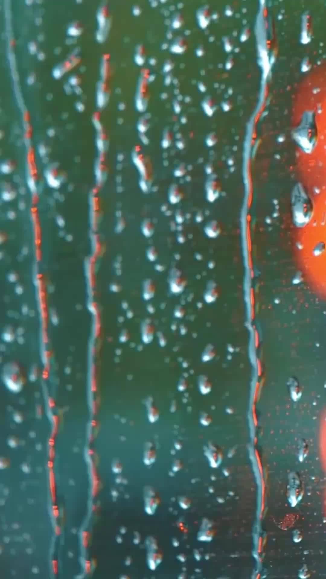 集 20