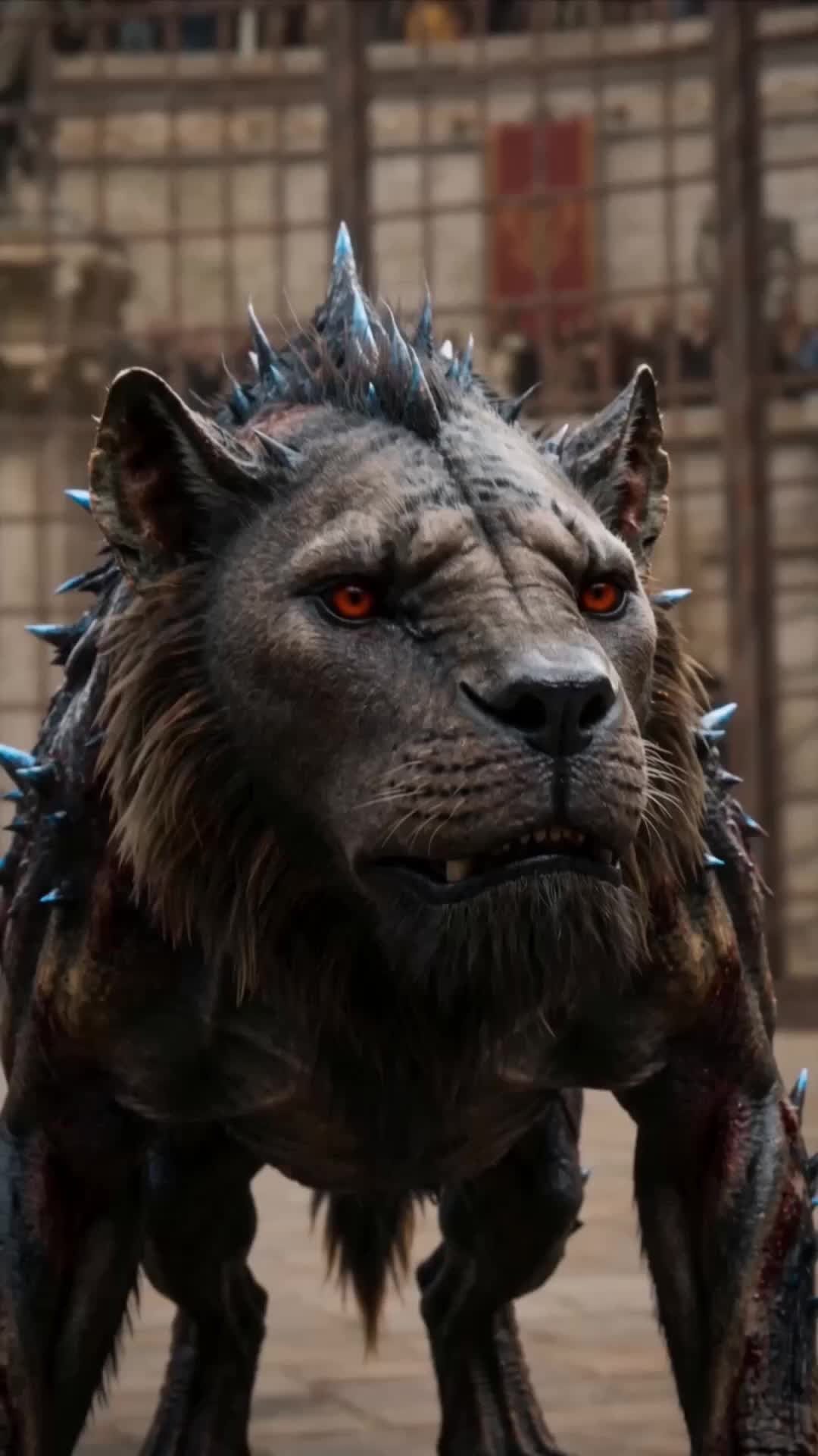 Episodio 14