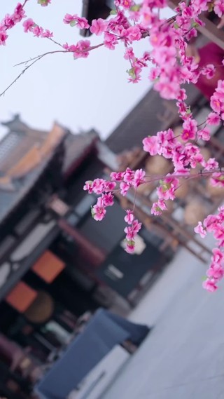 集 27