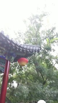 集 4