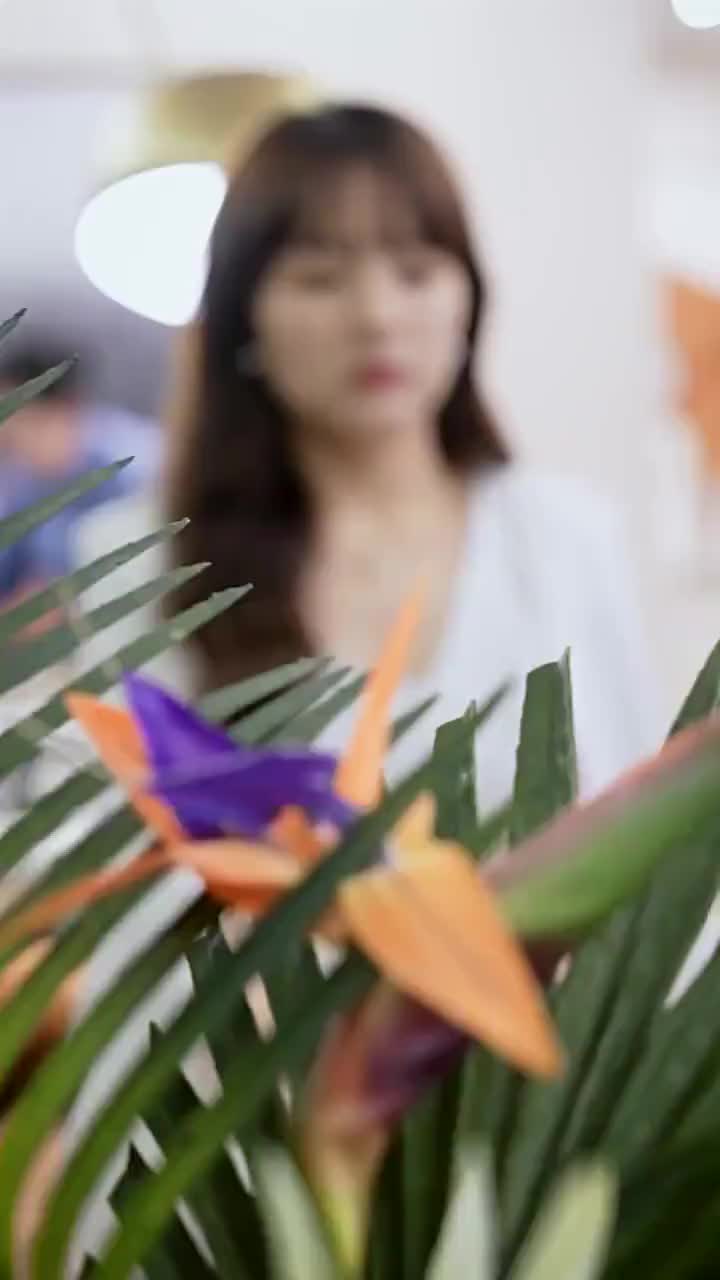 화 28