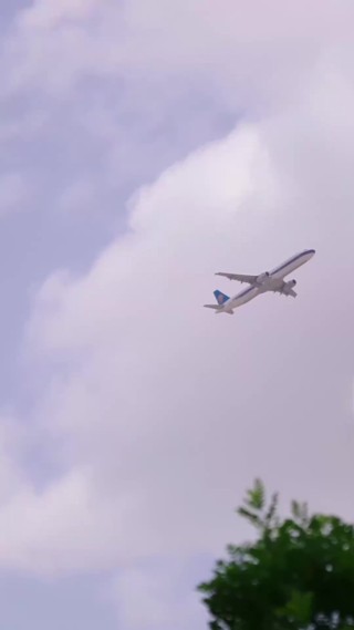 集 6