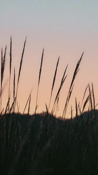 集 15