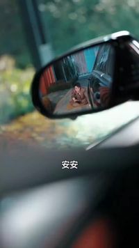 集 15