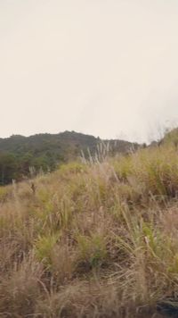 集 9