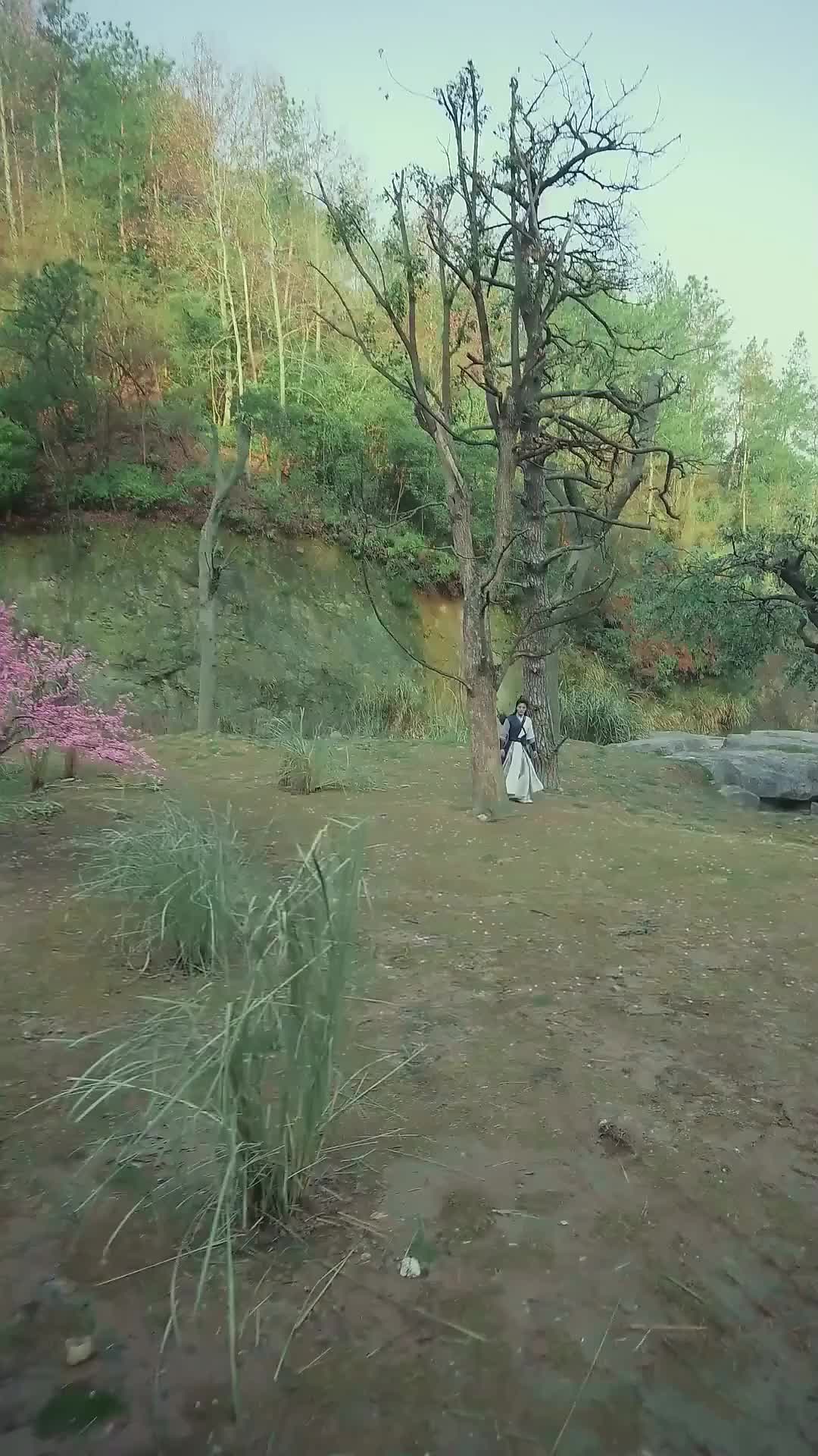 화 29
