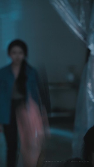 集 29