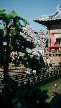 集 15