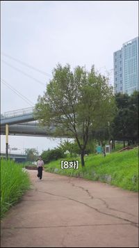 화 8