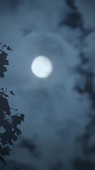 集 19