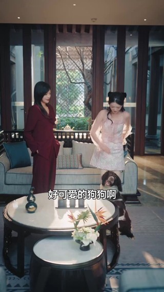 集 28
