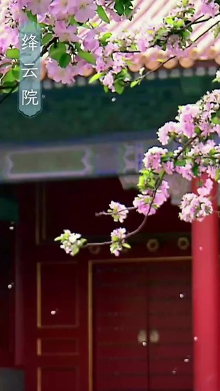 集 5