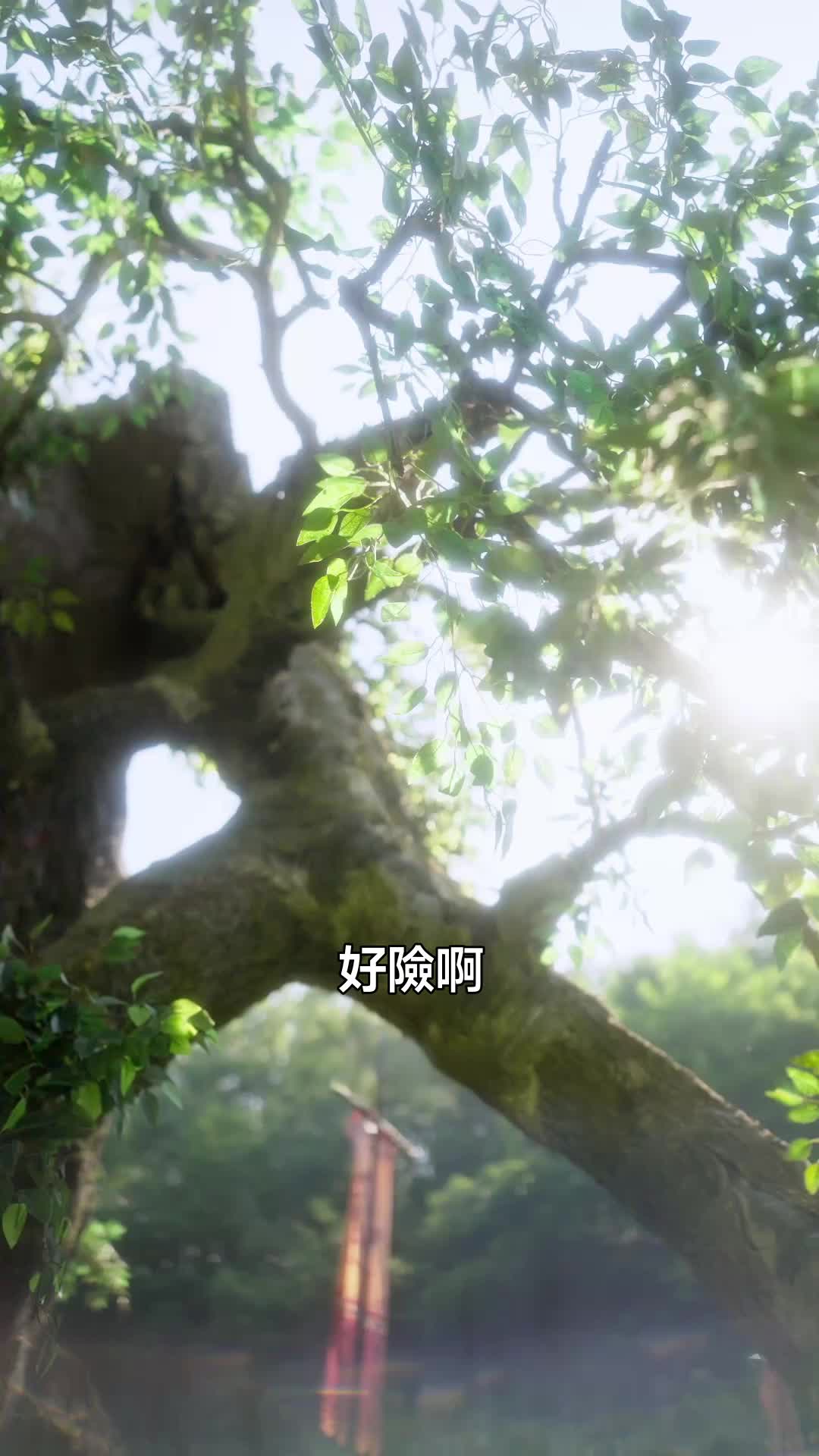 集 5