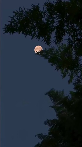 ตอนที่ 18