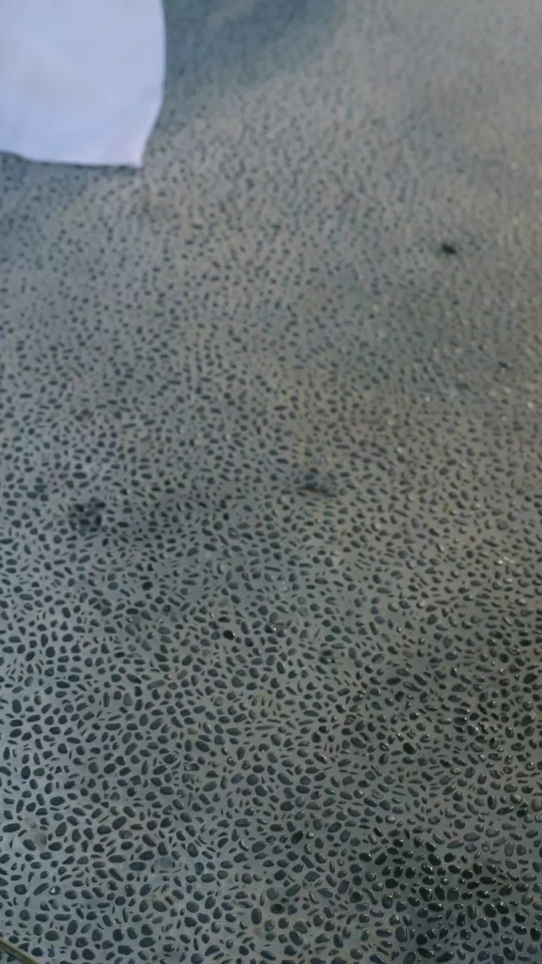 集 11