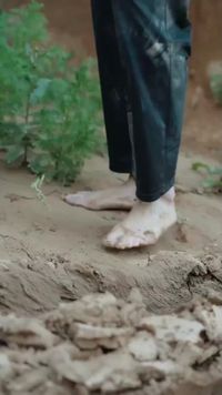 화 2
