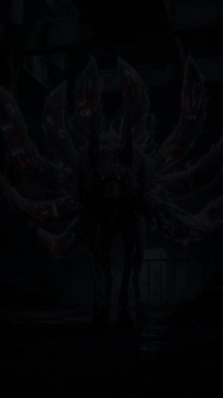 集 19
