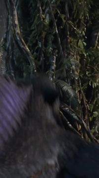 Episode 25