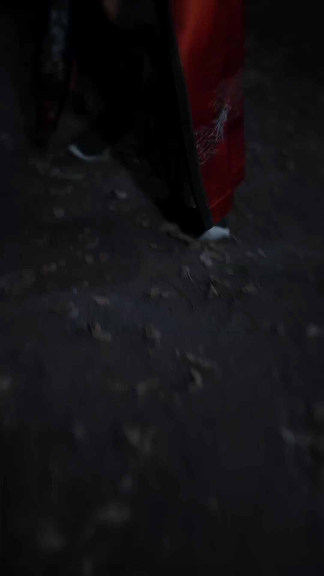集 29