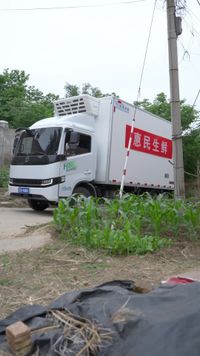 集 19
