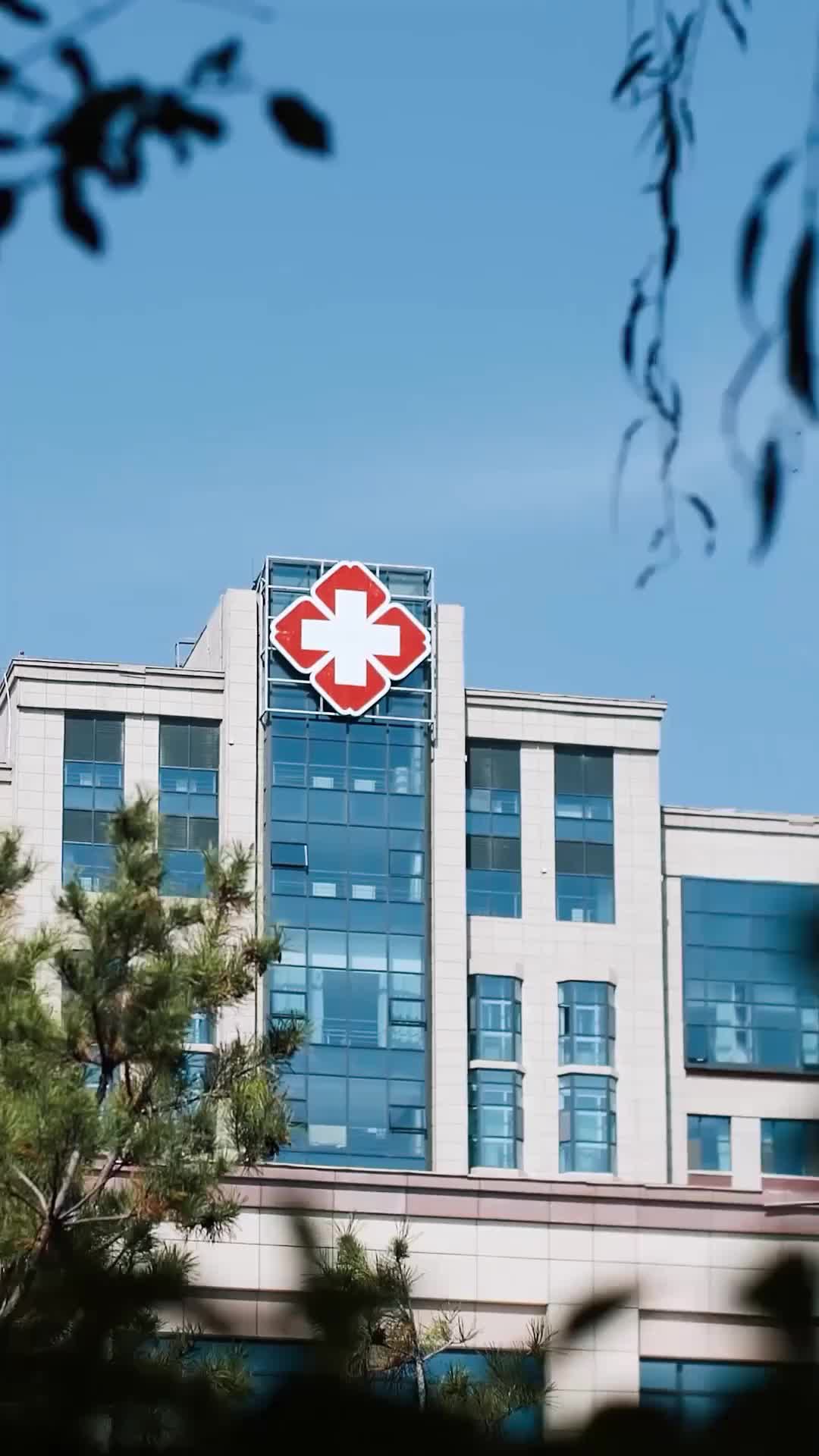 集 9