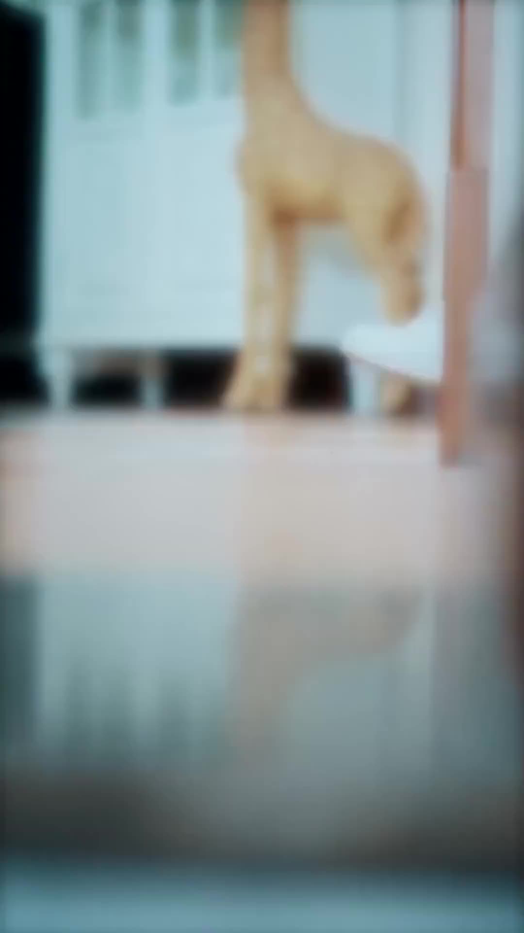 화 2