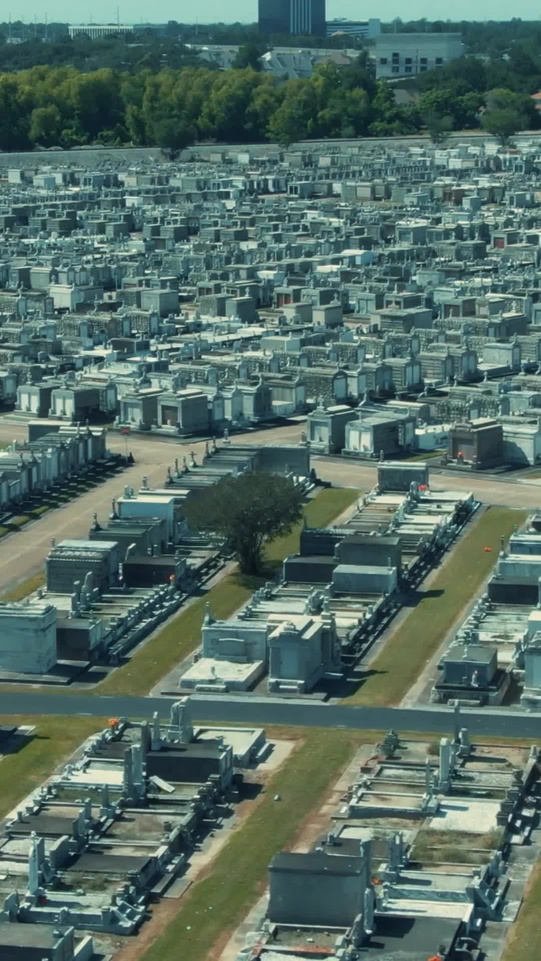 Episódio 12