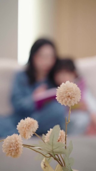 集 26