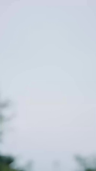 集 17
