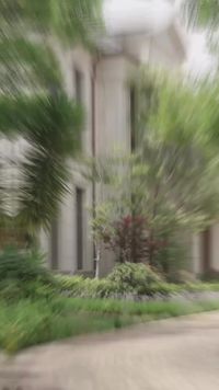 Episodio 12