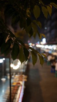 集 6