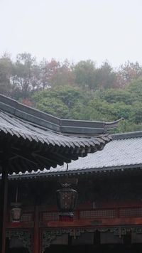 集 19
